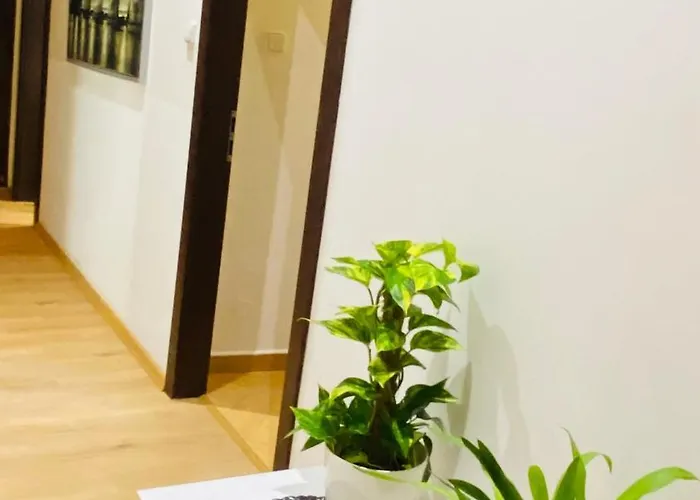 Private In The Centre 아파트호텔 프라하